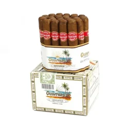 Quintero Petit Quintero Cigar (box of 25)