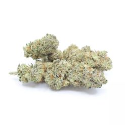 moby dick cbd topskud indendoers https://jware.dk/en/produkt/moby-dick-cbd-flower-7/ moby dick cbd topskud indendoers https://jware.dk/en/produkt/moby-dick-cbd-flower-7/