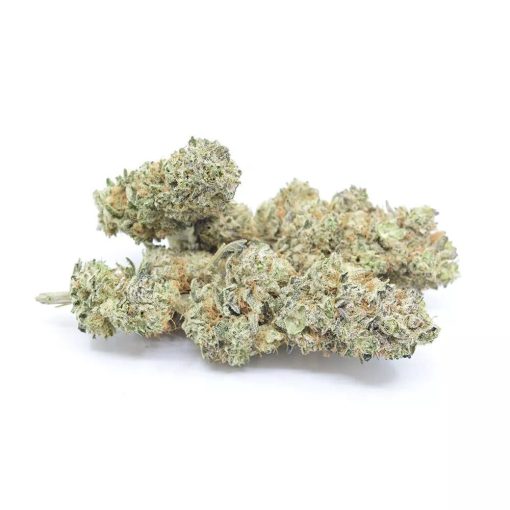 moby dick cbd topskud indendoers https://jware.dk/en/produkt/moby-dick-cbd-flower-7/ Moby Dick CBD Flower 7%. - Image 3