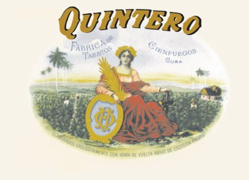 Quintero Panetelas Cigar (box of 25) - Billede 2
