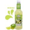 Master Of Mixes Margarita Mixer 1 Liter www.jware .dk https://jware.dk/en/produkt/master-of-mixes-pina-colada-mixer-1-liter/
