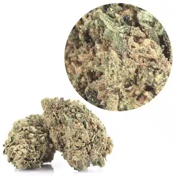 skywalker og cbd https://jware.dk/en/produkt/cbd-flowers-45-cbd-0-thc-pineapple-express-1g/ CBD Flowers | 45% CBD 0% THC | Pineapple Express 1g - Image 2