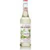 Monin Syrup Ginger Ingefaer 70 cl www.jware .dk https://jware.dk/sv/produkt/monin-sirap-fransk-vanilj-70-cl/