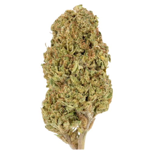 Tangerine Dream CBD Flower 20%. - Image 2