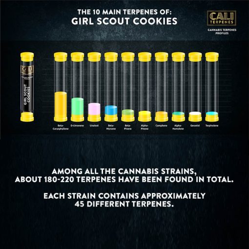 Cali Terpenes - Girl Scout Cookies 1 ml - Billede 2