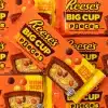 Reeses Big Cup Pieces King Size 16 x 79g www.jware .dk https://jware.dk/sv/produkt/reeses-pieces-julkannor-27-x-395g/