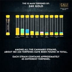 2929d837799894d0e4638500862993ed cali terpenes 24k gold terpenes canatura 2 https://jware.dk/produkt/cali-terpenes-24k-gold-terpenes-1-ml/