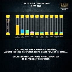 3119475d218c314b944291a31909ca3a cali terpenes sfv og canatura 2 https://jware.dk/produkt/cali-terpenes-sfv-og-terpenes-1-ml/