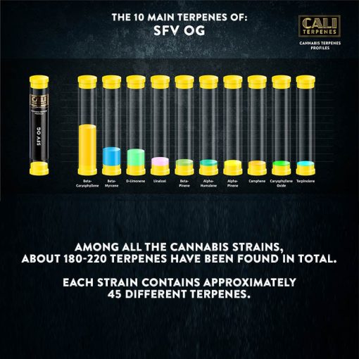 Cali Terpenes – SFV OG Terpenes 1 ml - Billede 2