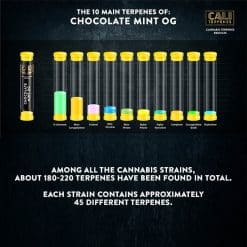 c20c99c1b36e6d4a71b495414d8ab611 cali terpenes chocolate mint og canatura 2 https://jware.dk/en/produkt/cali-terpenes-apple-fritter-terpenes-1-ml/