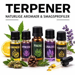 Terpenes