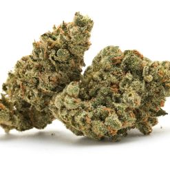 Cali Sunset 40 %
