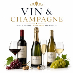 Vin & Champagne
