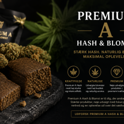 Premium A Hash & Flower