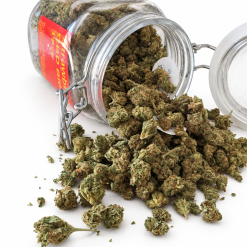 Strawberry 15% CBD