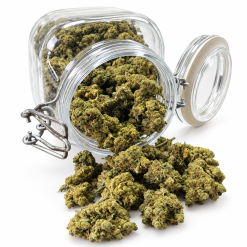Amnesia Hydro 40% – Premium A Blomst
