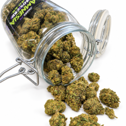 Amnesia 40 % CBD