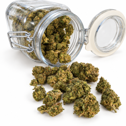 Cheese 40 % CBD